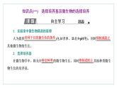 2021-2022学年高中生物新人教版选择性必修3 微生物的选择培养和计数 课件（51张）（湖南、辽宁、山东）