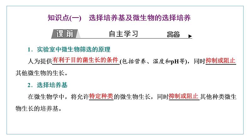 2021-2022学年高中生物新人教版选择性必修3 微生物的选择培养和计数 课件（51张）（湖南、辽宁、山东）03