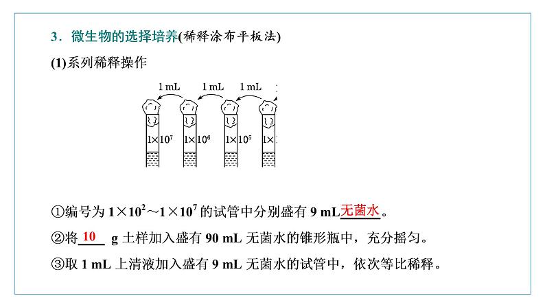 2021-2022学年高中生物新人教版选择性必修3 微生物的选择培养和计数 课件（51张）（湖南、辽宁、山东）04