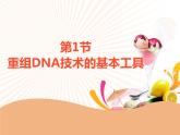 第3章 第1节 重组DNA技术的基本工具  课件 高中生物新人教版选择性必修3（2022年）