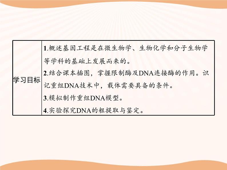 第3章 第1节 重组DNA技术的基本工具  课件 高中生物新人教版选择性必修3（2022年）第2页