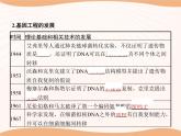 第3章 第1节 重组DNA技术的基本工具  课件 高中生物新人教版选择性必修3（2022年）