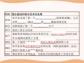 第3章 第1节 重组DNA技术的基本工具  课件 高中生物新人教版选择性必修3（2022年）