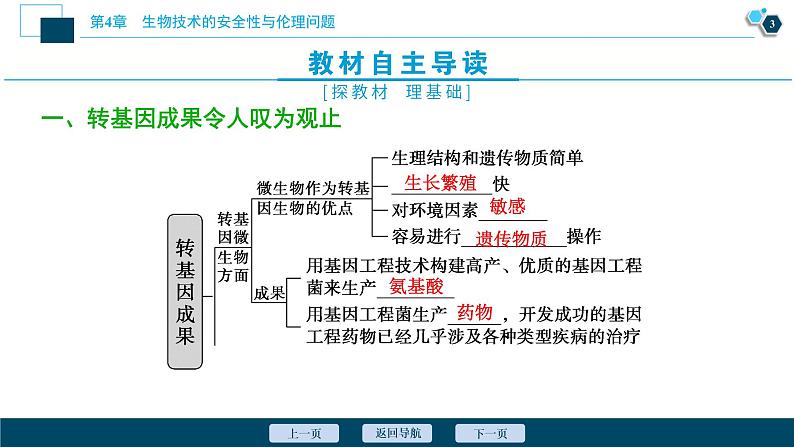 2021-2022学年高中生物新人教版选择性必修3 转基因产品的安全性（21张）  课件第4页