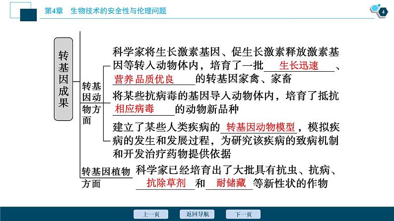 2021-2022学年高中生物新人教版选择性必修3 转基因产品的安全性（21张）  课件第5页