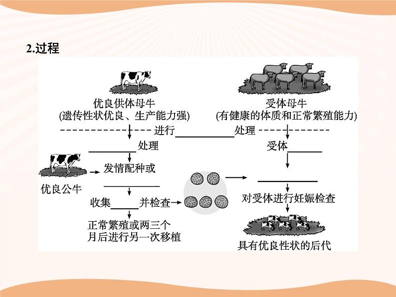 第2章 第3节 二 胚胎工程技术及其应用  课件 高中生物新人教版选择性必修3（2022年）第6页