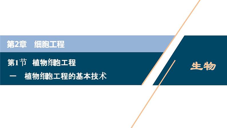 2021-2022学年高中生物新人教版选择性必修3 植物细胞工程的基本技术（47张）  课件01