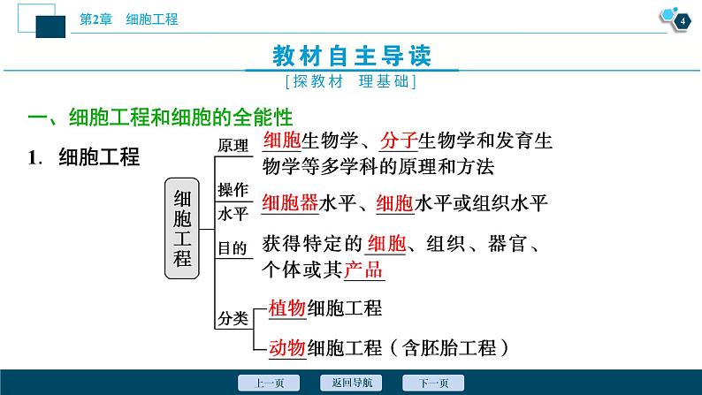 2021-2022学年高中生物新人教版选择性必修3 植物细胞工程的基本技术（47张）  课件05