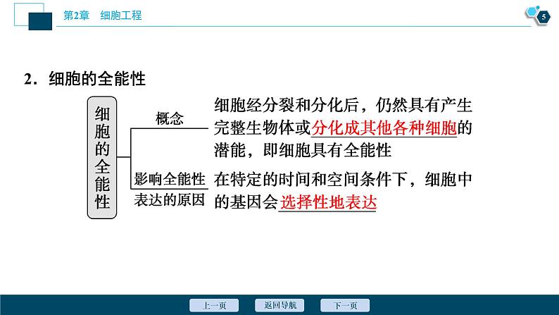 2021-2022学年高中生物新人教版选择性必修3 植物细胞工程的基本技术（47张）  课件06