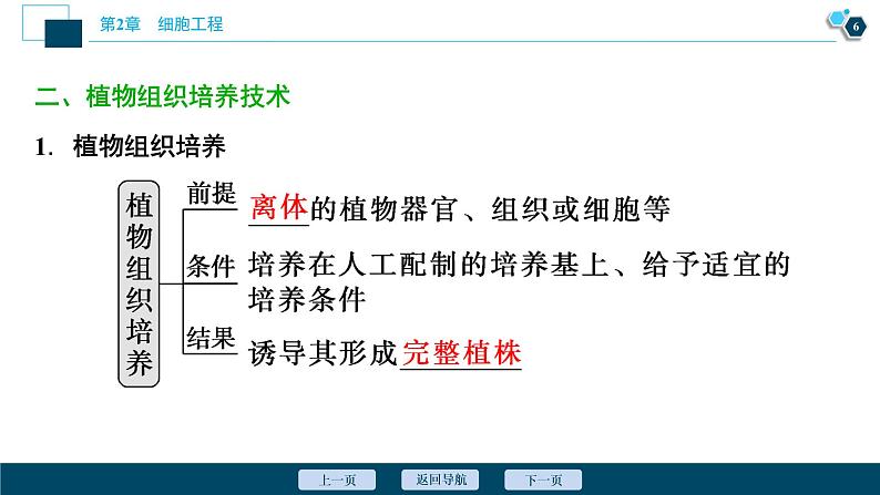 2021-2022学年高中生物新人教版选择性必修3 植物细胞工程的基本技术（47张）  课件07