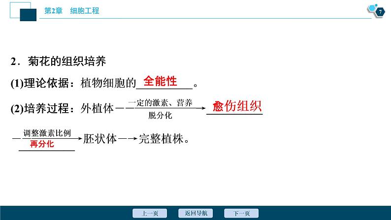 2021-2022学年高中生物新人教版选择性必修3 植物细胞工程的基本技术（47张）  课件08