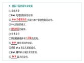 2021-2022学年高中生物新人教版选择性必修3 重组DNA技术的基本工具 课件（59张）（湖南、辽宁、山东）