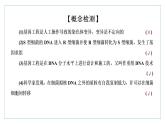 2021-2022学年高中生物新人教版选择性必修3 重组DNA技术的基本工具 课件（59张）（湖南、辽宁、山东）