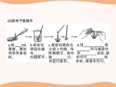 第1章 第2节 二 微生物的选择培养和计数 课件  高中生物新人教版选择性必修3（2022年）