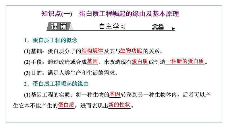 2021-2022学年高中生物新人教版选择性必修3 蛋白质工程的原理和应用 课件（37张）（湖南、辽宁、山东）第3页