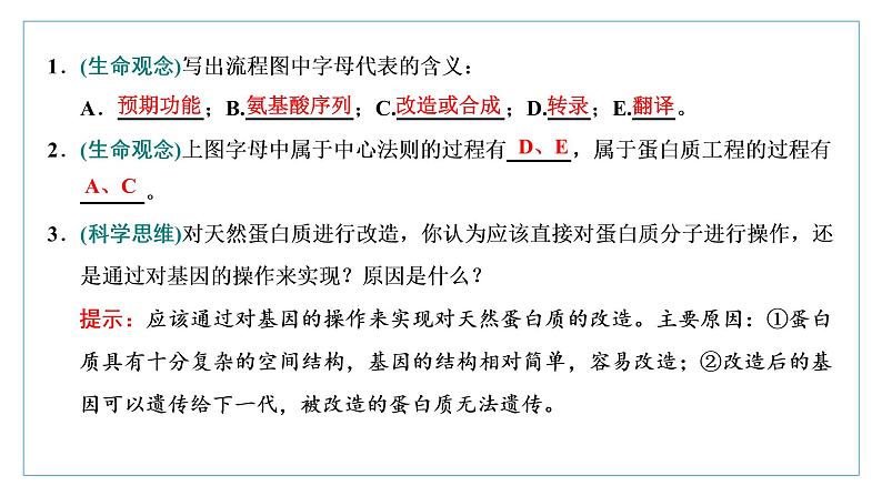 2021-2022学年高中生物新人教版选择性必修3 蛋白质工程的原理和应用 课件（37张）（湖南、辽宁、山东）第7页