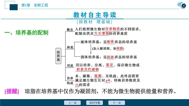 2021-2022学年高中生物新人教版选择性必修3 微生物的基本培养技术（48张）  课件05