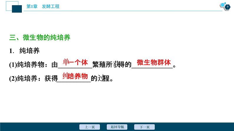 2021-2022学年高中生物新人教版选择性必修3 微生物的基本培养技术（48张）  课件08