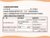 第3章 第3节 基因工程的应用  课件 高中生物新人教版选择性必修3（2022年）