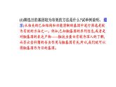 2021-2022学年高中生物新人教版选择性必修3 基因工程的基本操作程序  课件（36张）