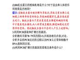 2021-2022学年高中生物新人教版选择性必修3 基因工程的基本操作程序  课件（36张）