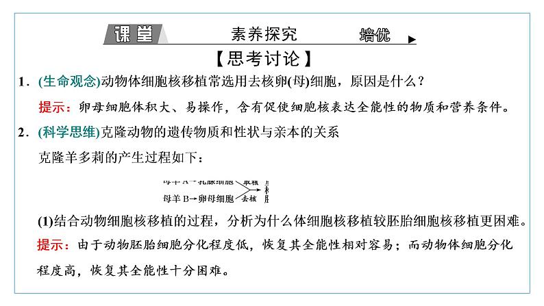 2021-2022学年高中生物新人教版选择性必修3 动物体细胞核移植技术和克隆动物 课件（37张）（湖南、辽宁、山东）第6页