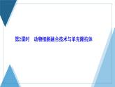 2021-2022学年高中生物新人教版选择性必修3 动物细胞融合技术与单克隆抗体 课件（42张）（湖南、辽宁、山东）
