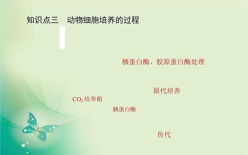 2021-2022学年高中生物新人教版选择性必修3 2.2.1 动物细胞培养 课件（65张）05