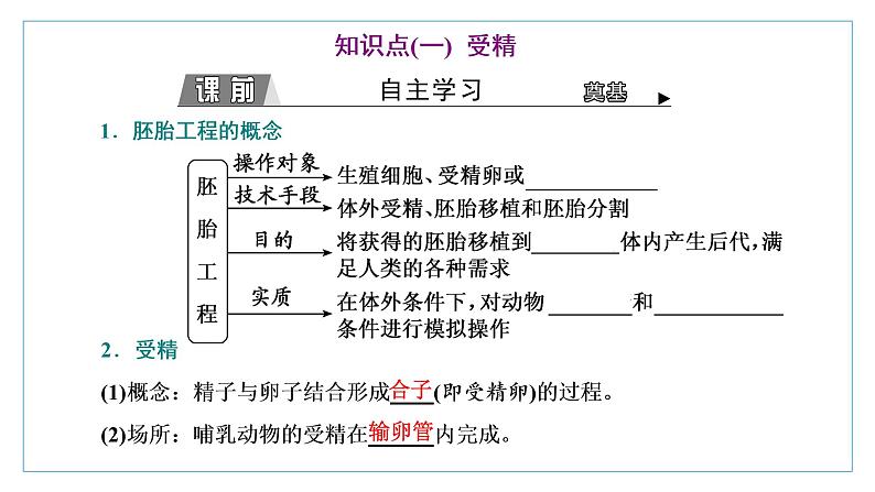 2021-2022学年高中生物新人教版选择性必修3 胚胎工程的理论基础 课件（37张）（湖南、辽宁、山东）第3页