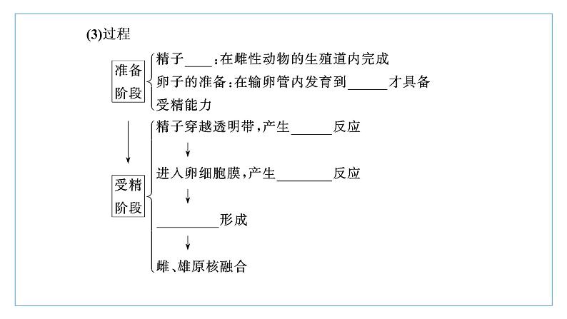 2021-2022学年高中生物新人教版选择性必修3 胚胎工程的理论基础 课件（37张）（湖南、辽宁、山东）第4页