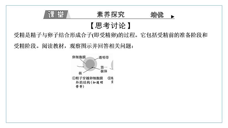 2021-2022学年高中生物新人教版选择性必修3 胚胎工程的理论基础 课件（37张）（湖南、辽宁、山东）第6页