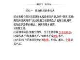 2021-2022学年高中生物新人教版选择性必修3 植物细胞工程的基本技术   课件（26张）