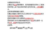 2021-2022学年高中生物新人教版选择性必修3 植物细胞工程的基本技术   课件（26张）