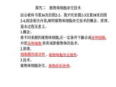 2021-2022学年高中生物新人教版选择性必修3 植物细胞工程的基本技术   课件（26张）