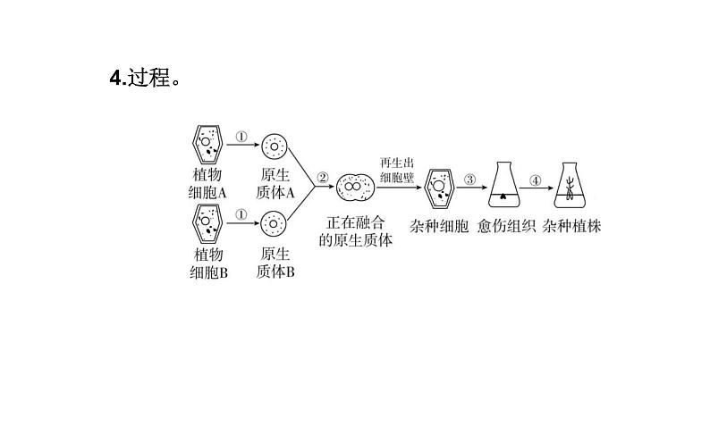 2021-2022学年高中生物新人教版选择性必修3 植物细胞工程的基本技术   课件（26张）第6页