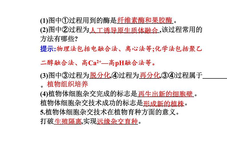 2021-2022学年高中生物新人教版选择性必修3 植物细胞工程的基本技术   课件（26张）第7页