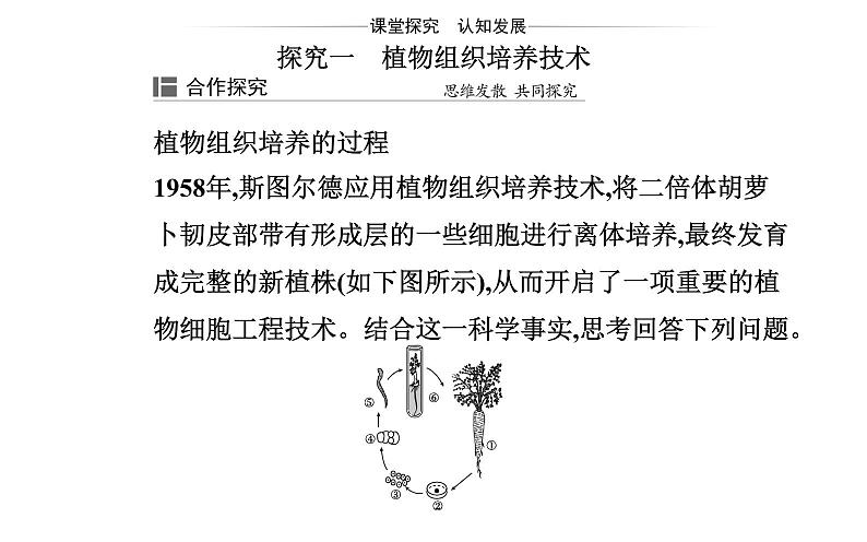 2021-2022学年高中生物新人教版选择性必修3 植物细胞工程的基本技术   课件（26张）第8页