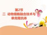 第2章 第2节 二 动物细胞融合技术与单克隆抗体  课件 高中生物新人教版选择性必修3（2022年）