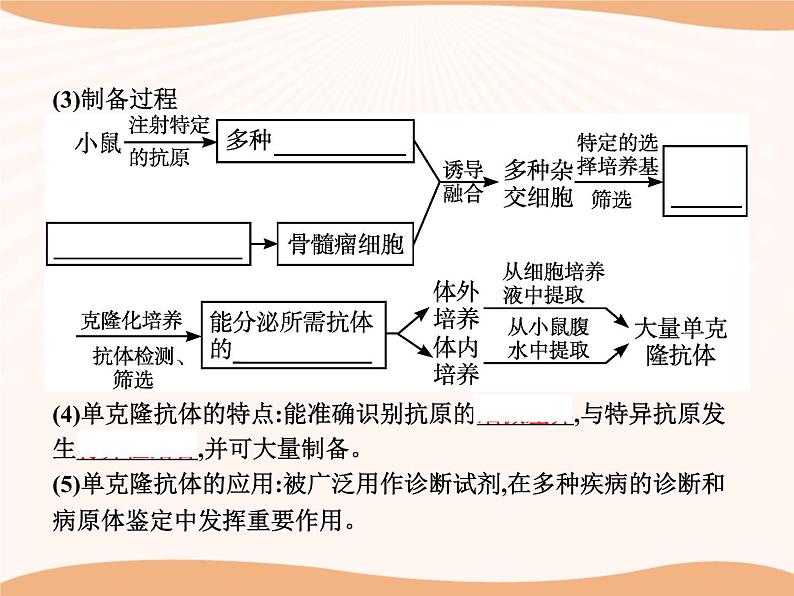 第2章 第2节 二 动物细胞融合技术与单克隆抗体  课件 高中生物新人教版选择性必修3（2022年）08