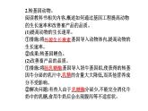 2021-2022学年高中生物新人教版选择性必修3 基因工程的应用  课件（18张）