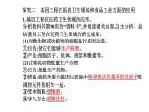2021-2022学年高中生物新人教版选择性必修3 基因工程的应用  课件（18张）
