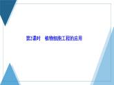 2021-2022学年高中生物新人教版选择性必修3 植物细胞工程的应用 课件（43张）（湖南、辽宁、山东）