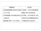2021-2022学年高中生物新人教版选择性必修3 植物细胞工程的应用 课件（43张）（湖南、辽宁、山东）