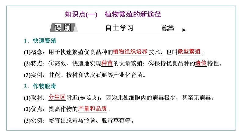 2021-2022学年高中生物新人教版选择性必修3 植物细胞工程的应用 课件（43张）（湖南、辽宁、山东）第3页