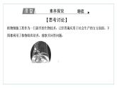 2021-2022学年高中生物新人教版选择性必修3 植物细胞工程的应用 课件（43张）（湖南、辽宁、山东）