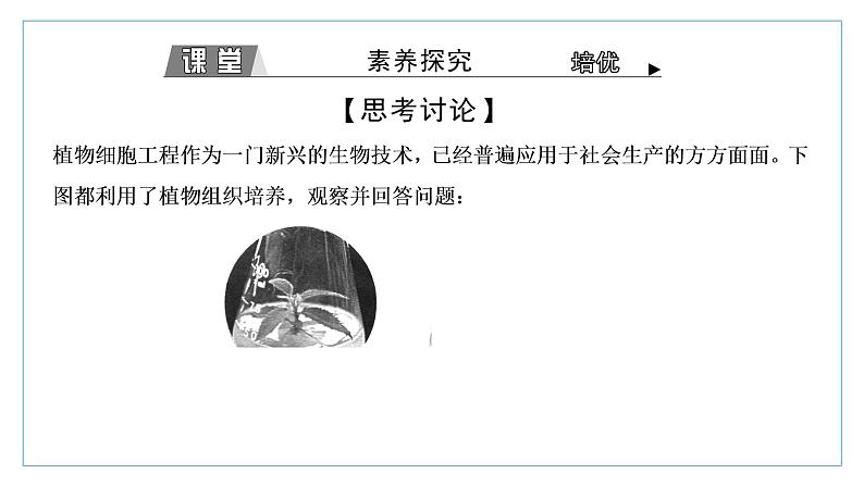 2021-2022学年高中生物新人教版选择性必修3 植物细胞工程的应用 课件（43张）（湖南、辽宁、山东）第5页