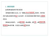 2021-2022学年高中生物新人教版选择性必修3 基因工程的基本操作程序 课件（65张）（湖南、辽宁、山东）