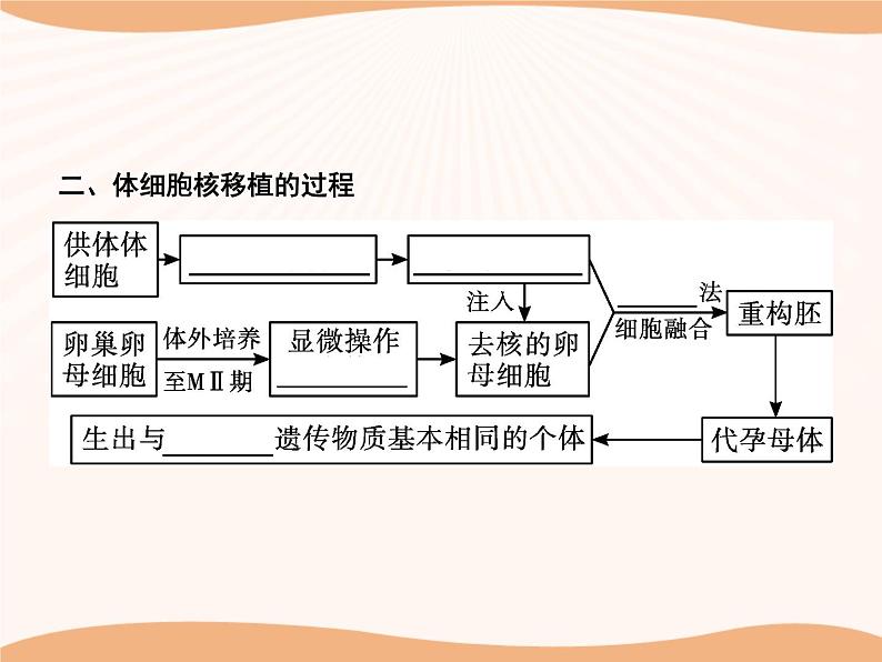 第2章 第2节 三 动物体细胞核移植技术和克隆动物  课件 高中生物新人教版选择性必修3（2022年）第4页