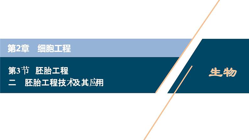 2021-2022学年高中生物新人教版选择性必修3 胚胎工程技术及其应用 （43张）  课件第1页