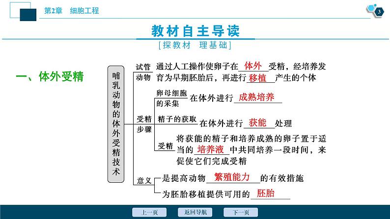 2021-2022学年高中生物新人教版选择性必修3 胚胎工程技术及其应用 （43张）  课件第4页